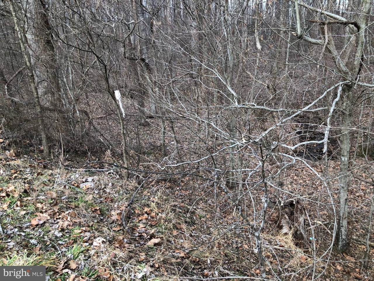 Lot 1 Alum Springs - Photo 1