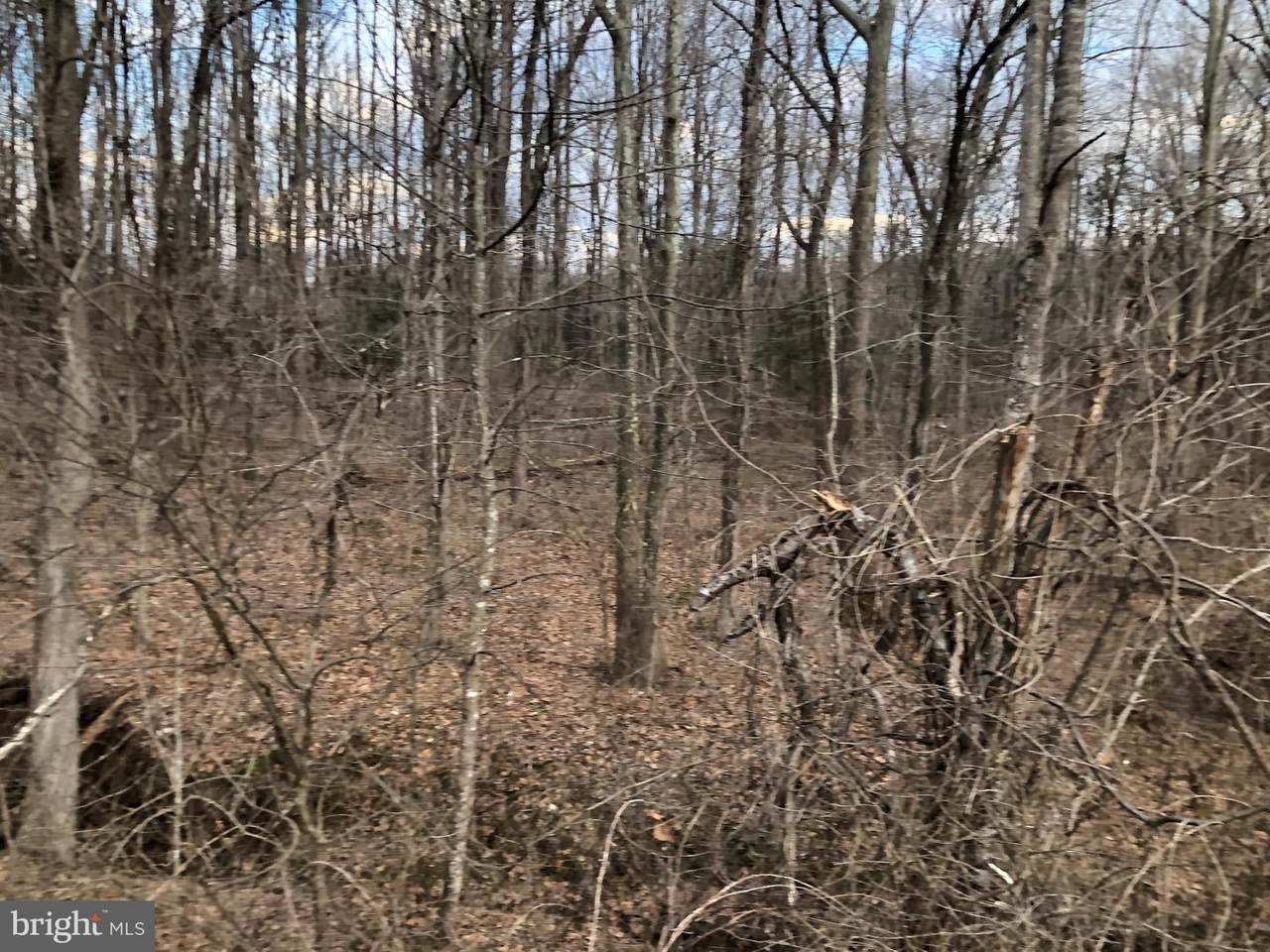 Lot 3 Alum Springs - Photo 1
