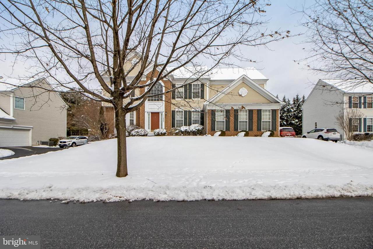 11223 Appaloosa Drive - Photo 1