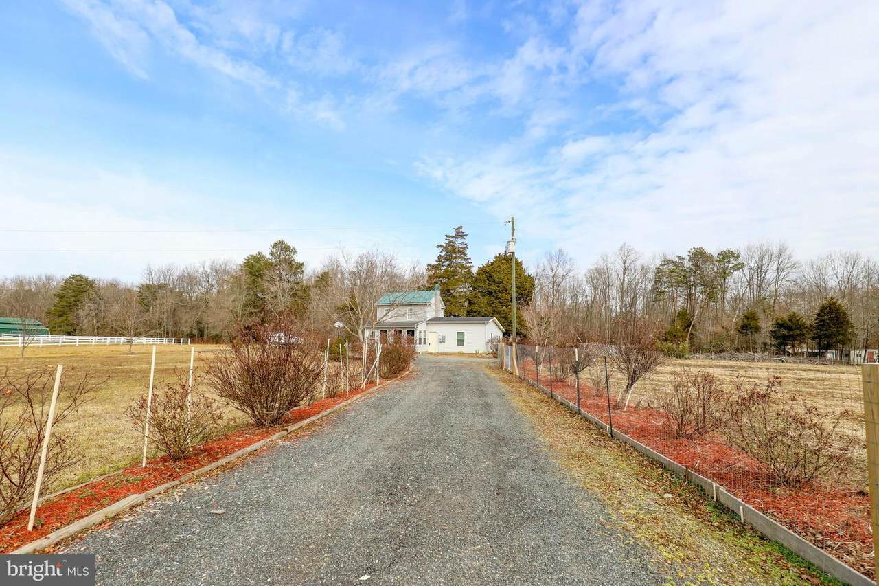 6707 Hickory Ridge Road - Photo 1