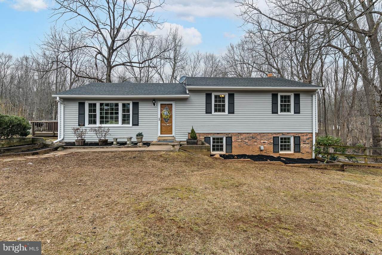 6834 Chestnut Oak Lane - Photo 1