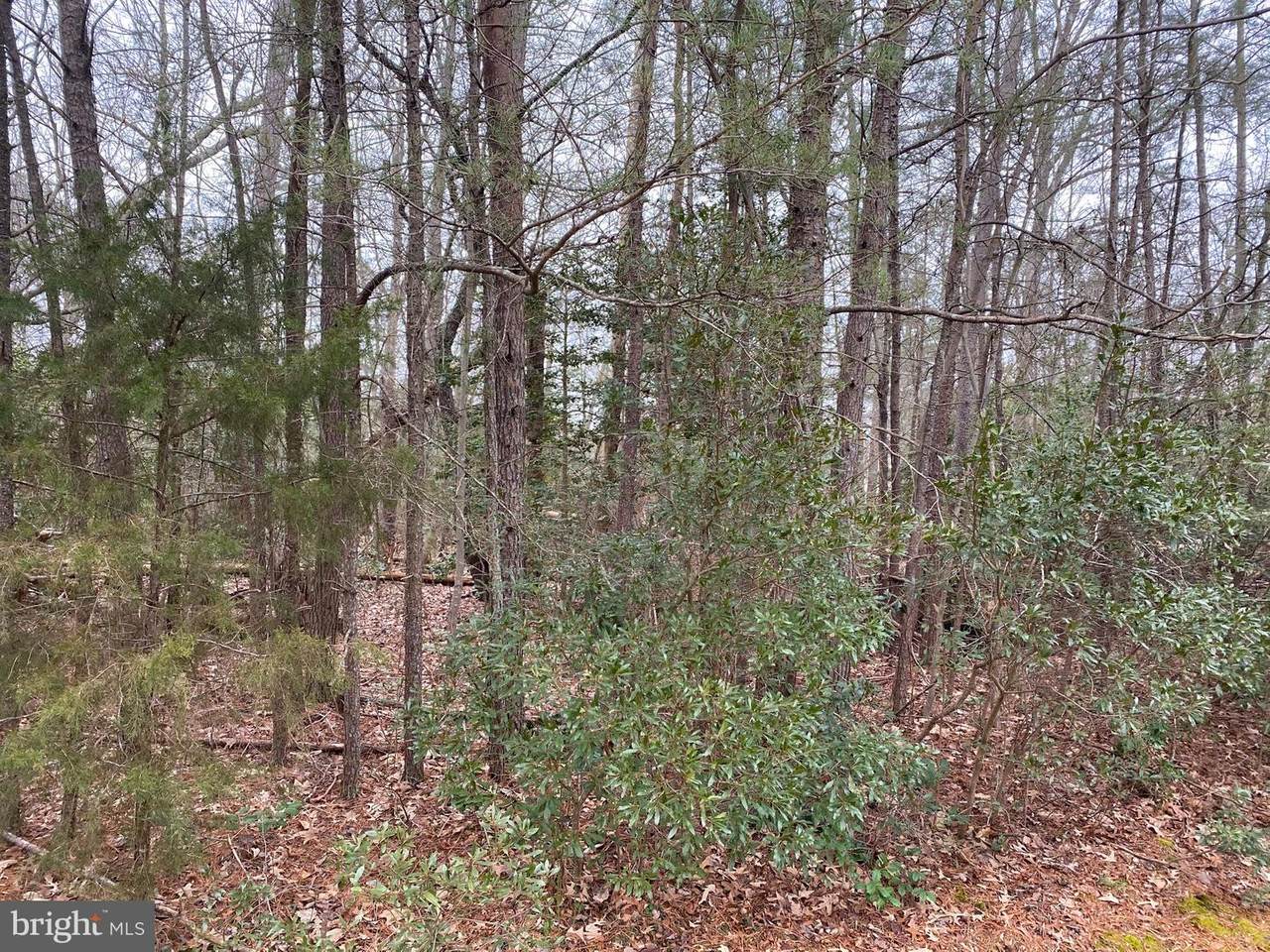 LOT # 107 Canvasback Lane - Photo 1