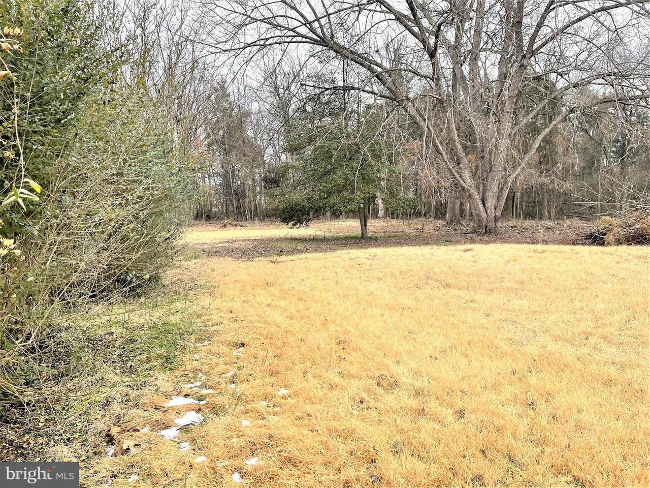 11537 Rogues Road - Photo 1