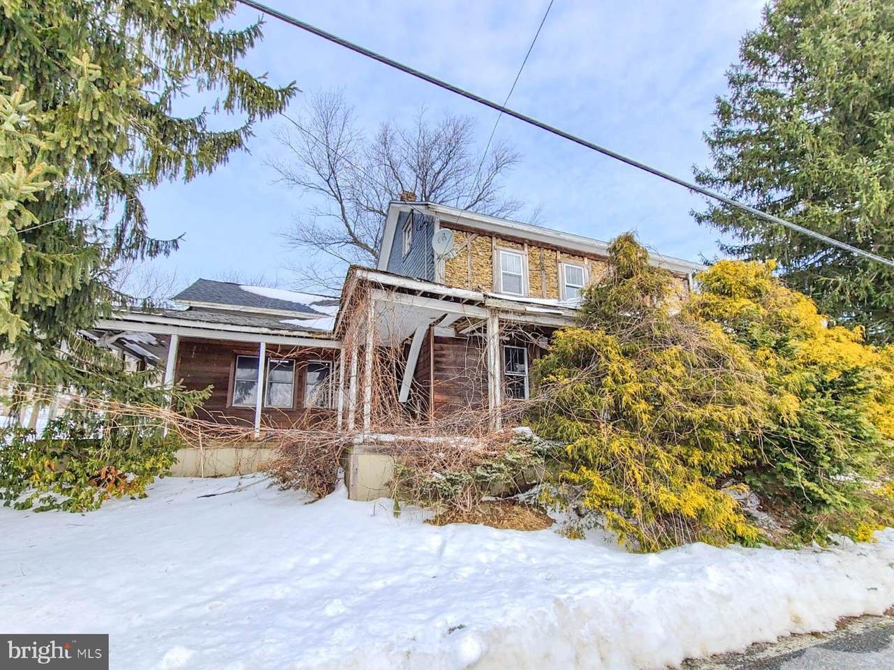 2982 Whitetail Deer Drive - Photo 1