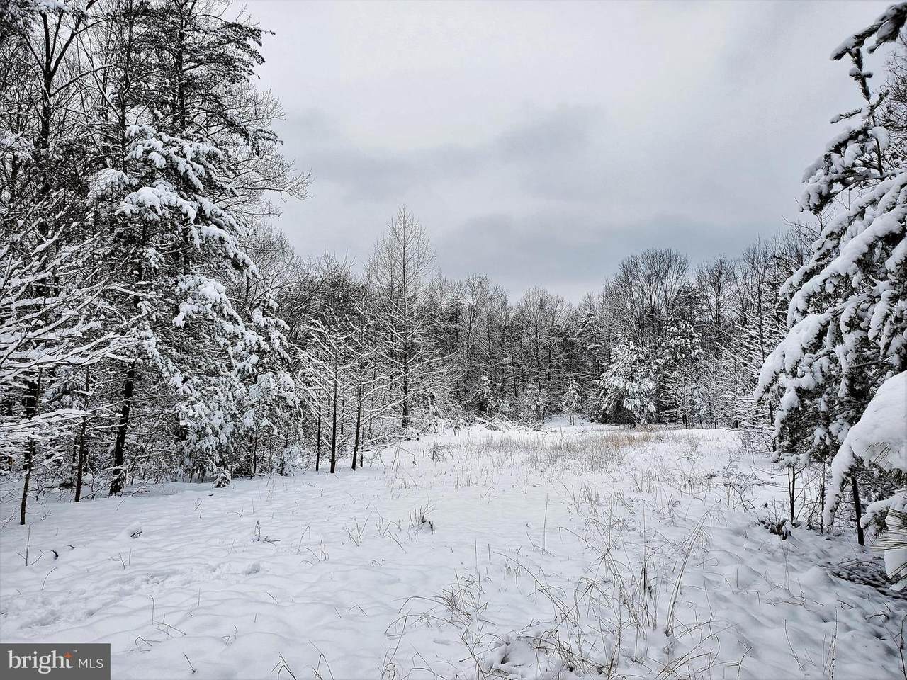 7505 Stonegate Manor Drive - Photo 1