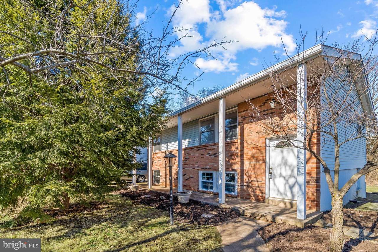 303 Staunton Avenue - Photo 1