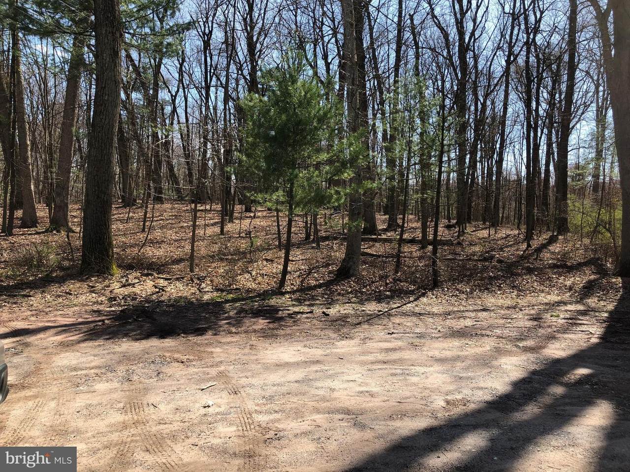 459 Butler Road - Photo 1