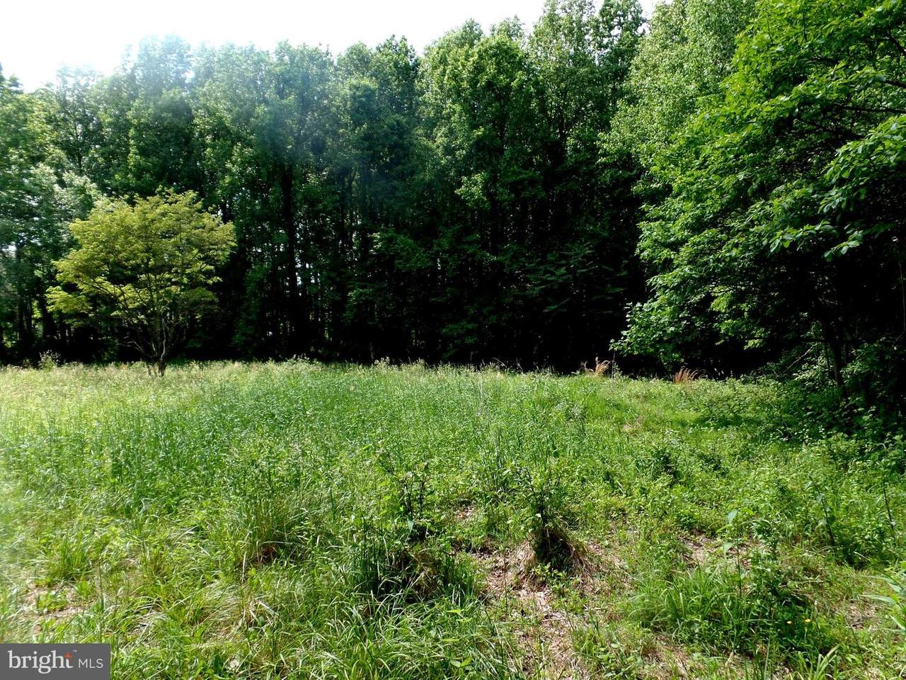 Wrights Mill Road - Photo 1