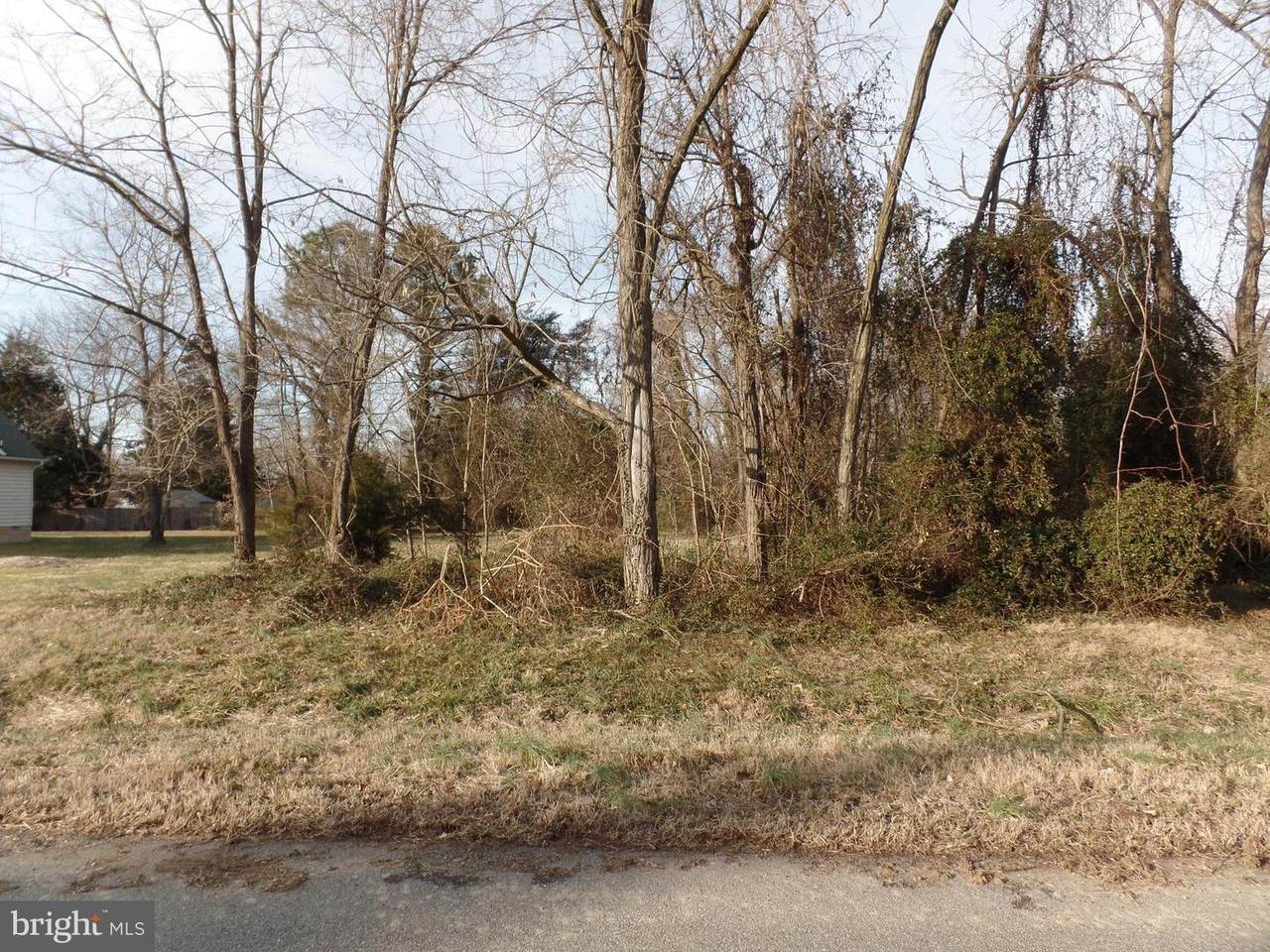 45718 Locust Glen - Photo 1