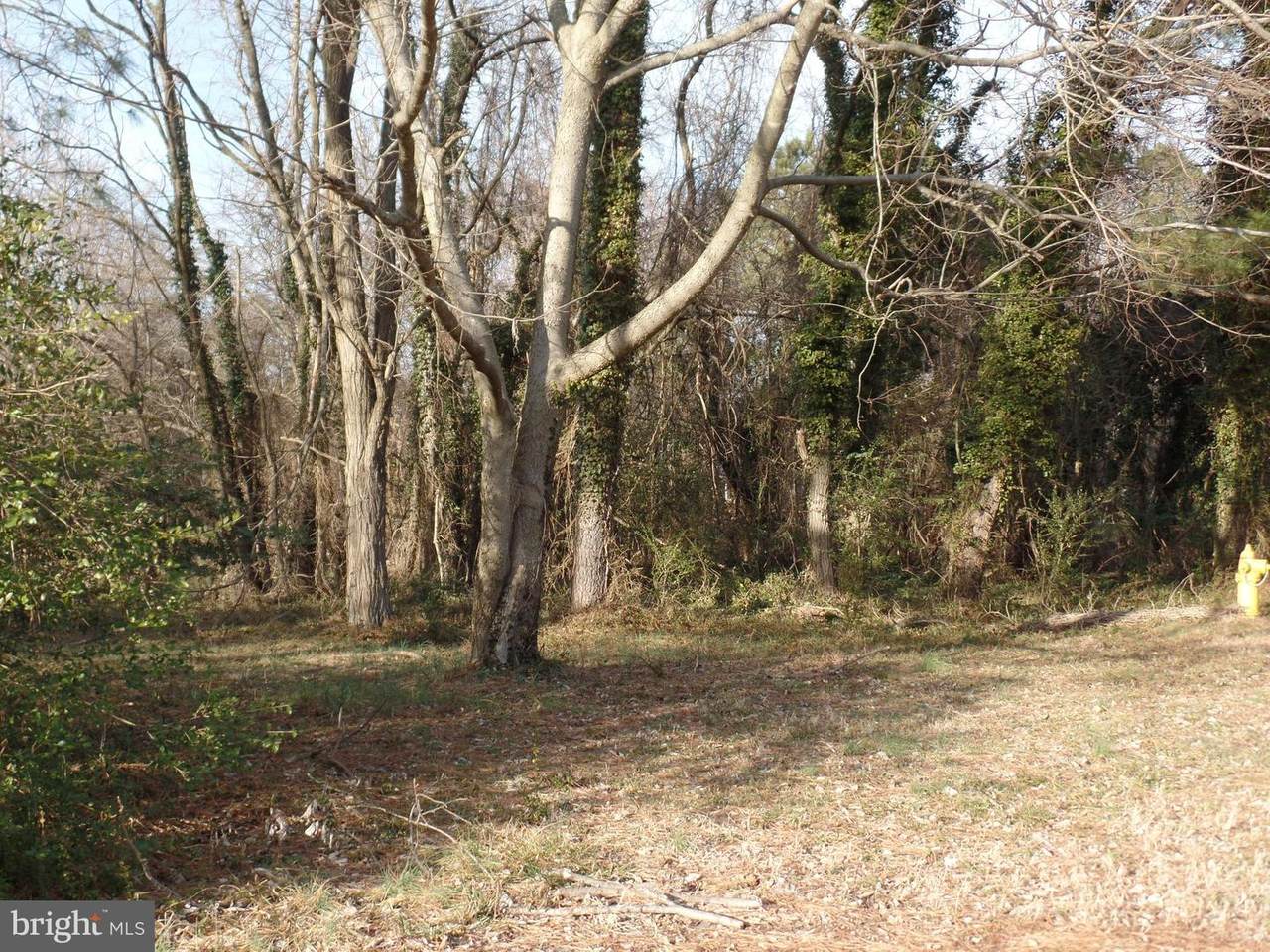 45724 Locust Glen - Photo 1
