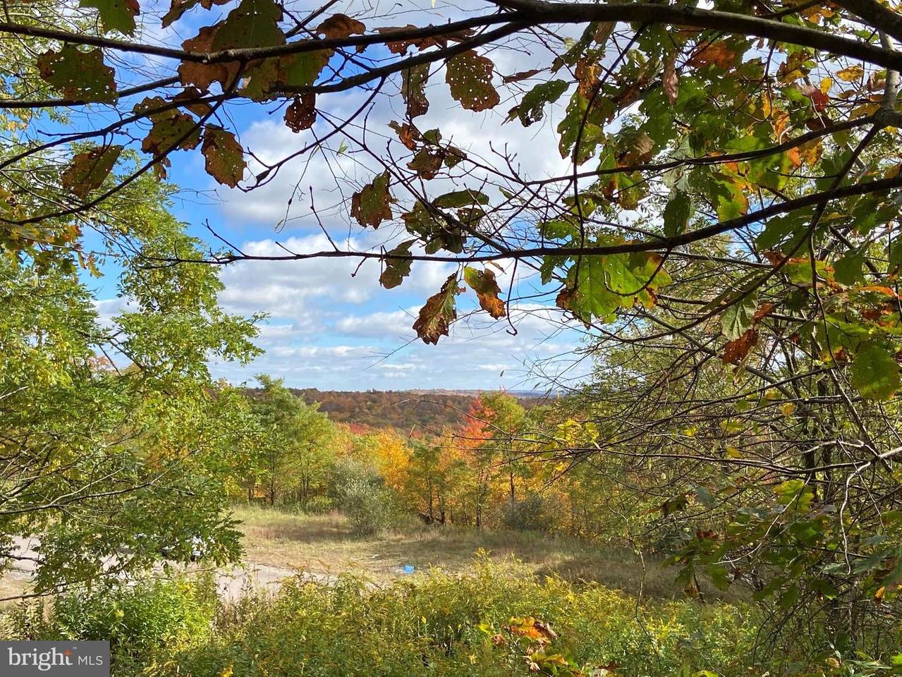 23 Tree Camp - Photo 1