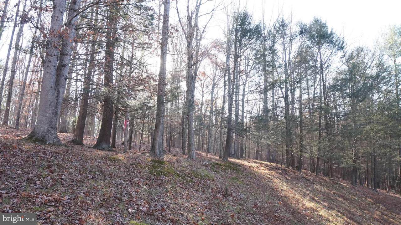 Lot 24 Amberwood Lane - Photo 1