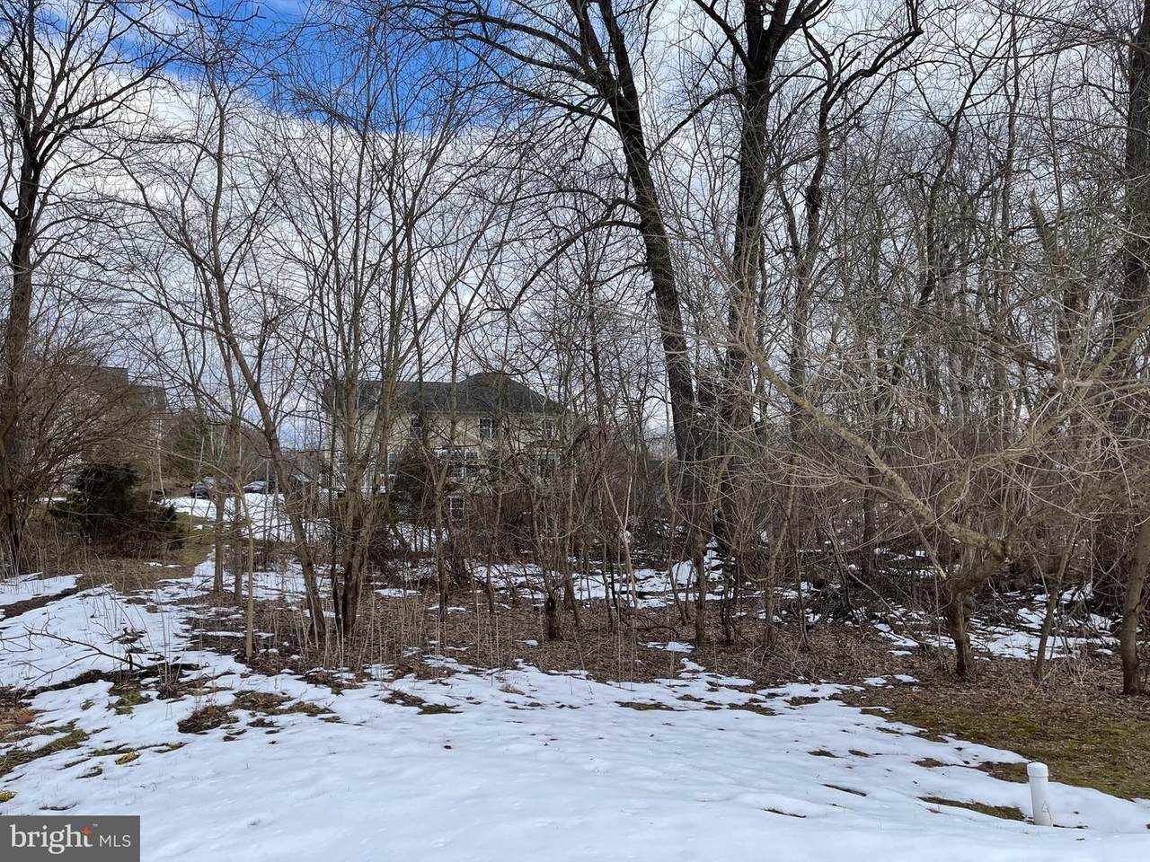 Lot 21 Tamarac - Photo 1