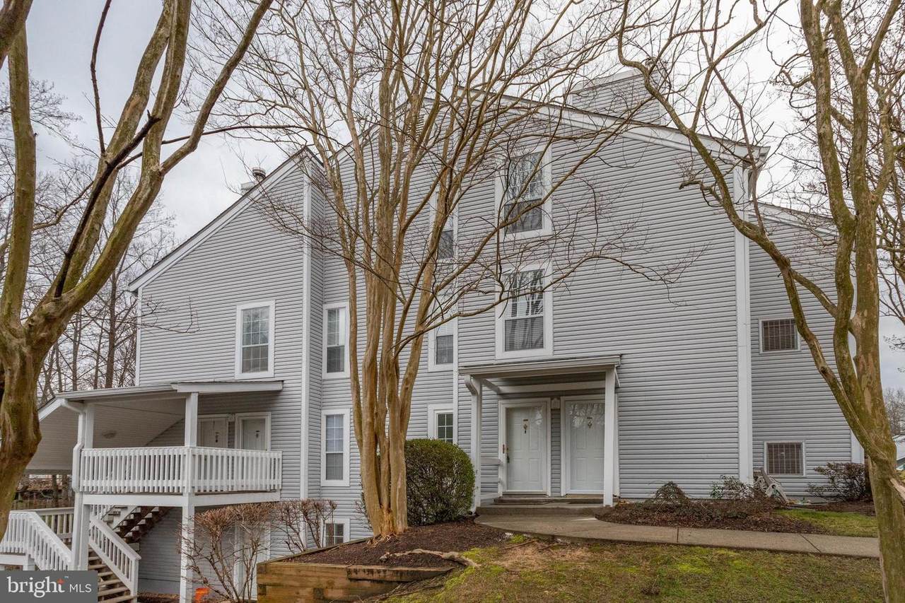 11998 Cardamom Drive - Photo 1