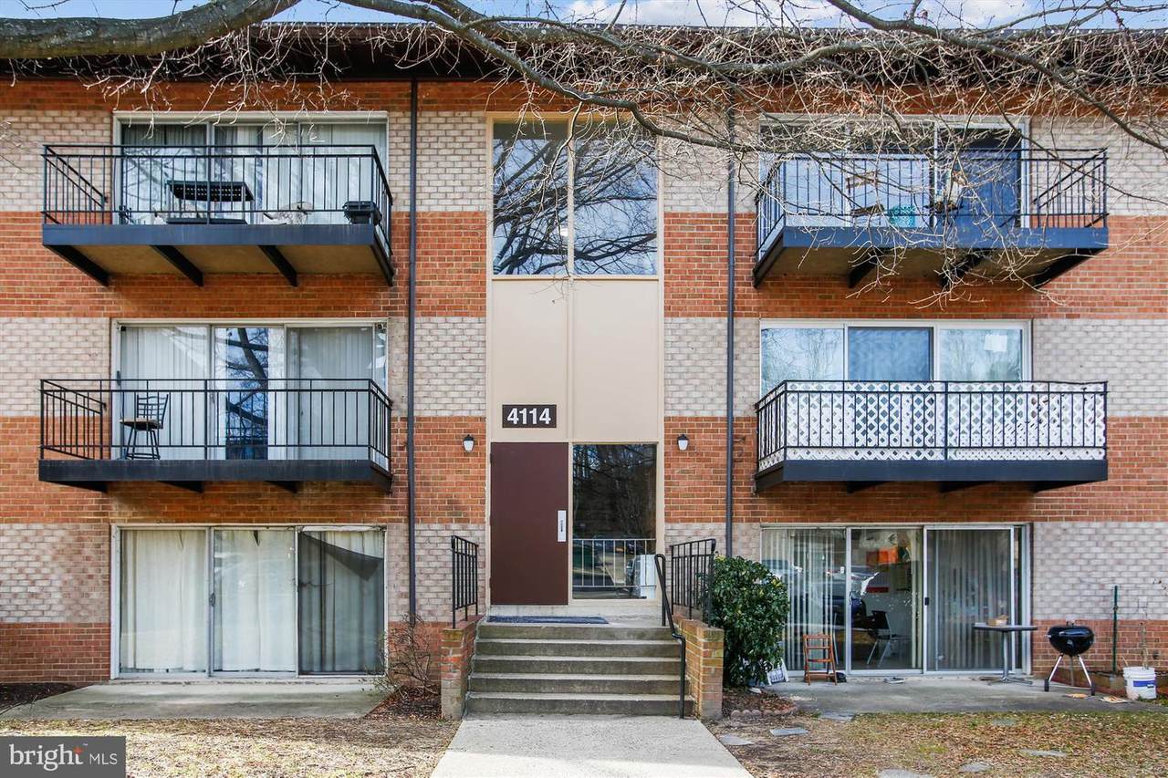 4114 Mangalore Drive - Photo 1