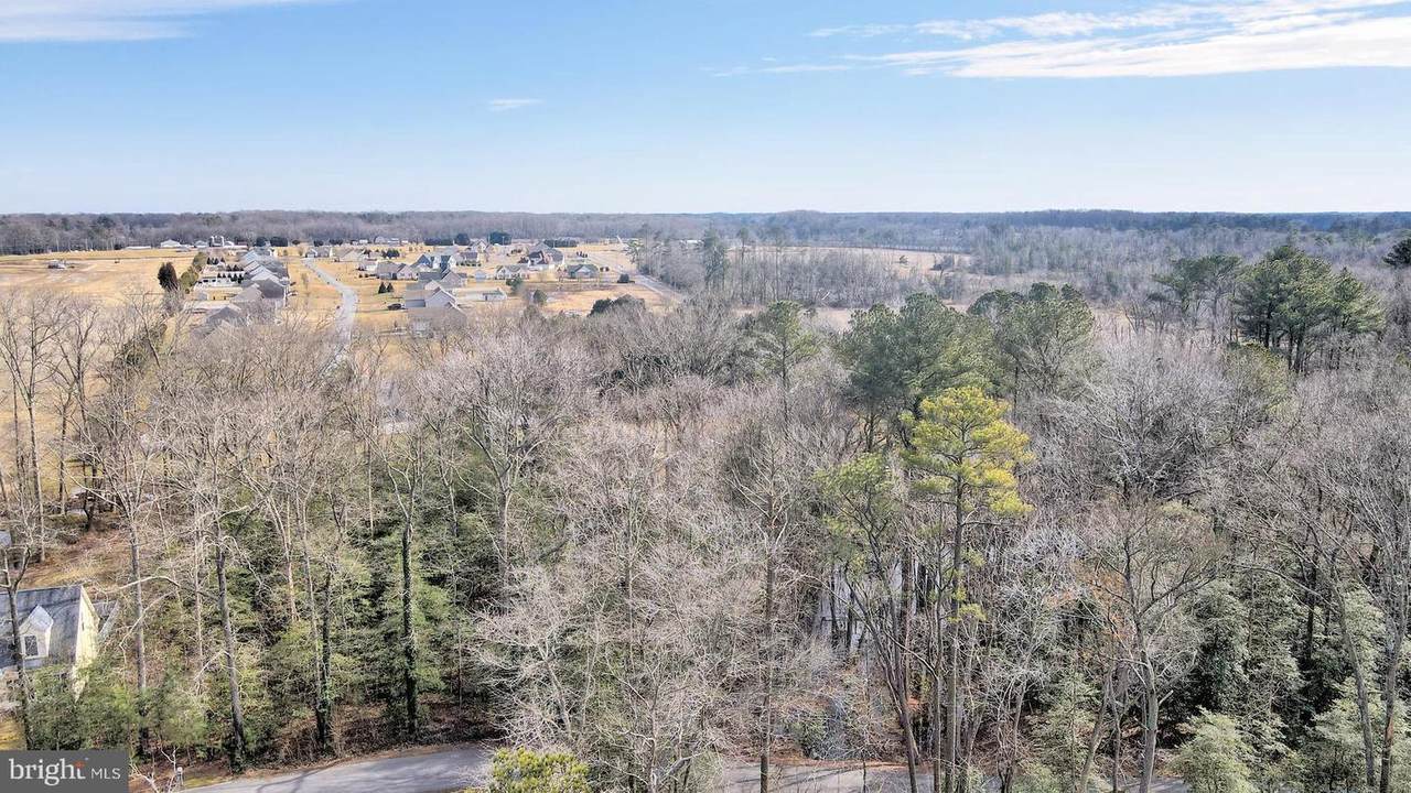 Lot 24 Holly Oak Lane - Photo 1
