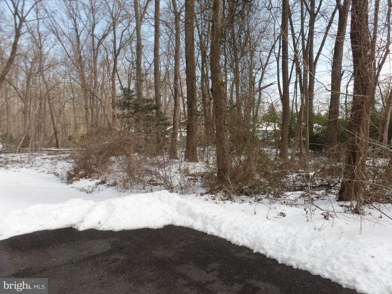 1412 Locust Avenue - Photo 1
