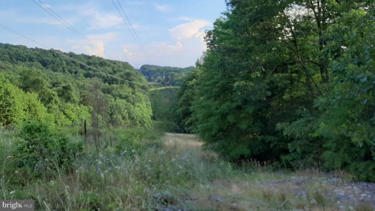 Brush Leaf Lane - Lot 9 - Photo 1