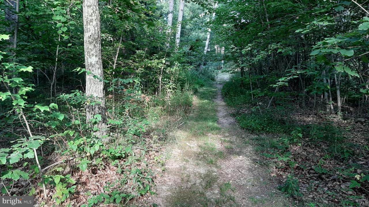 Brush Leaf Lane - Lots 8 & 9 - Photo 1