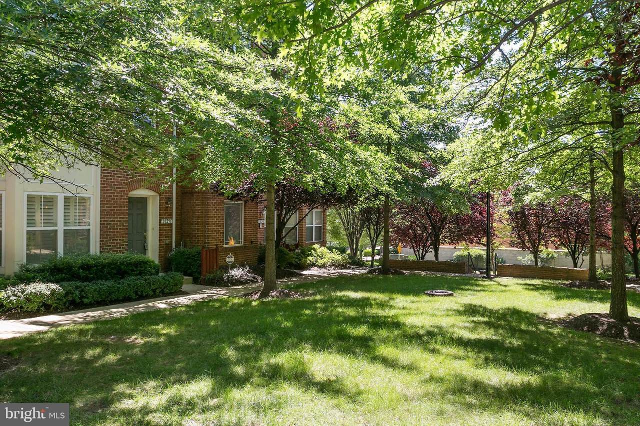 10296 Chestnut Park Lane - Photo 1
