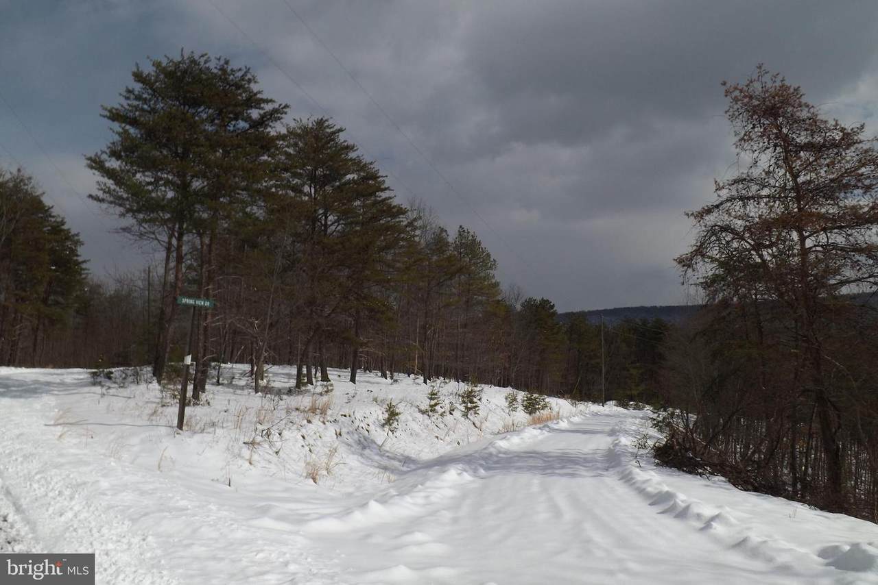 Spring View Drive - Photo 1