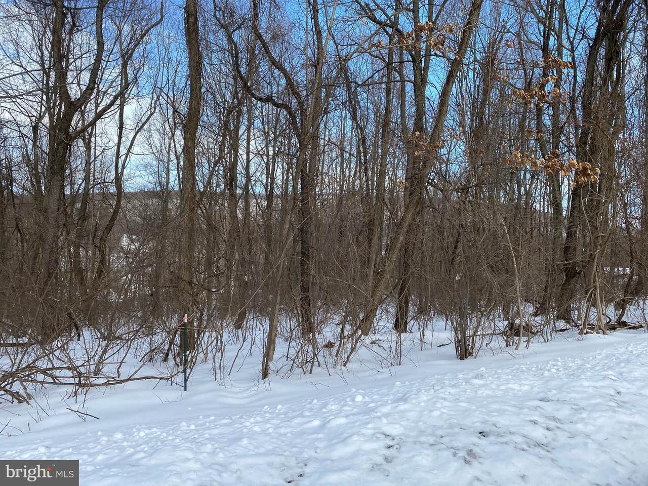 122 Janet Trail - Photo 1