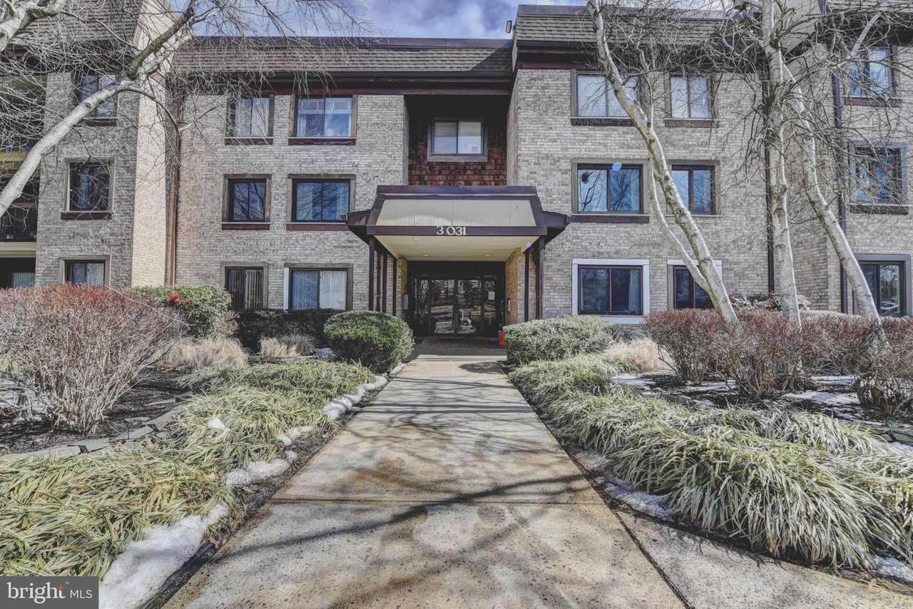 3031 Borge Street - Photo 1