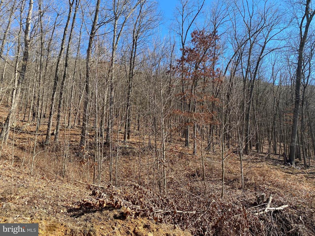Blakes Valley Drive - Photo 1