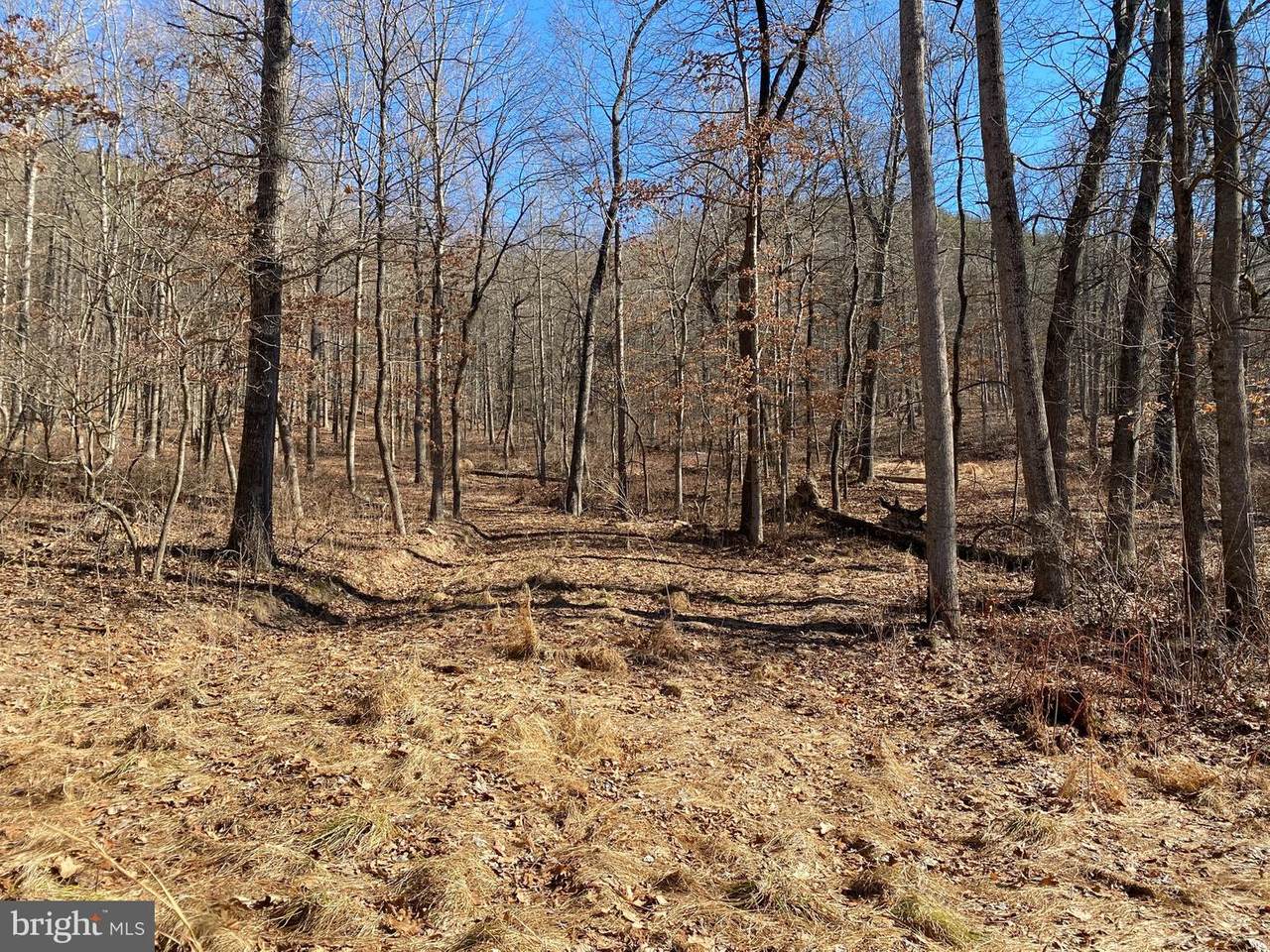 Blakes Valley Drive - Photo 1