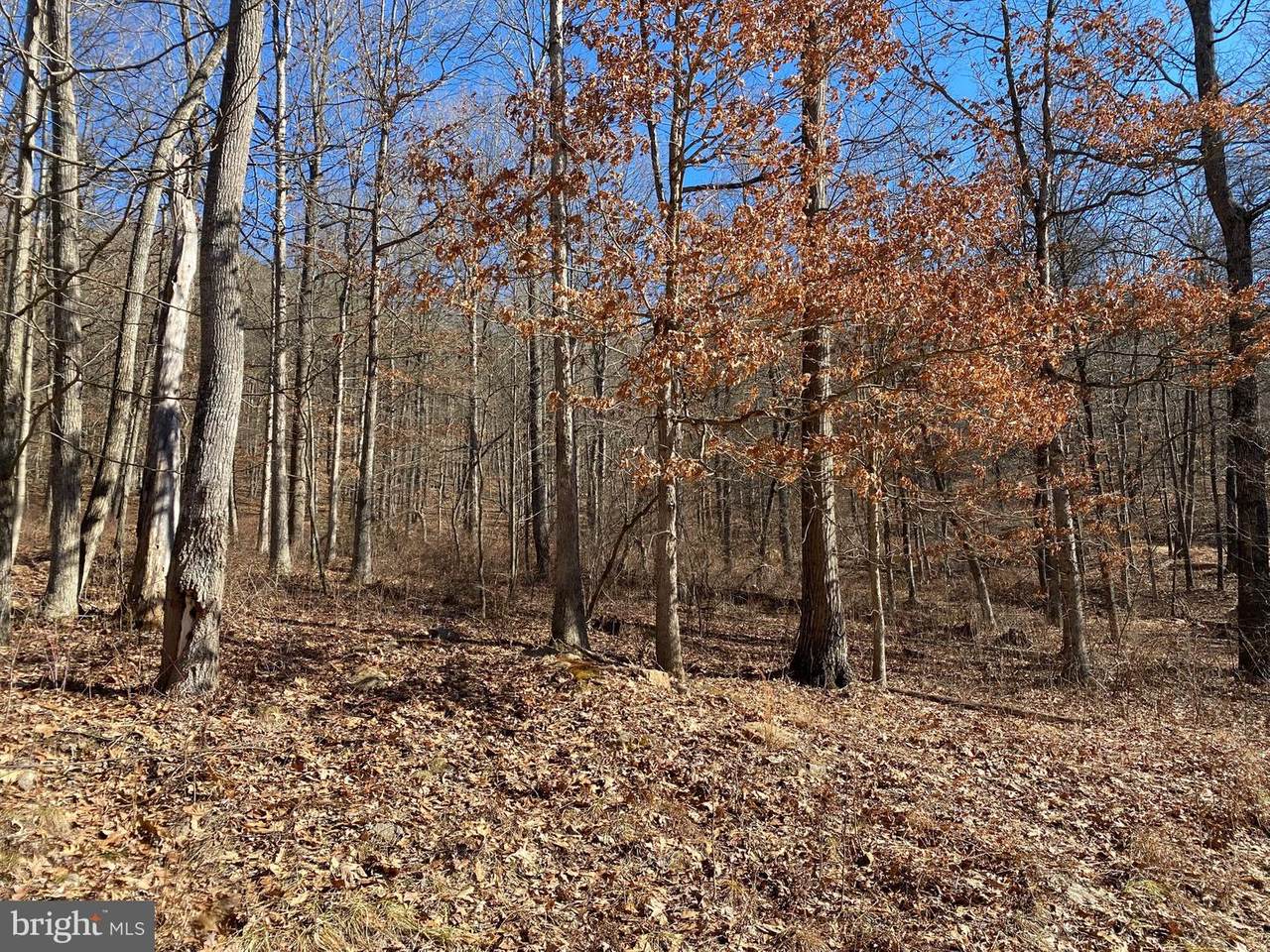 Blakes Valley Drive - Photo 1