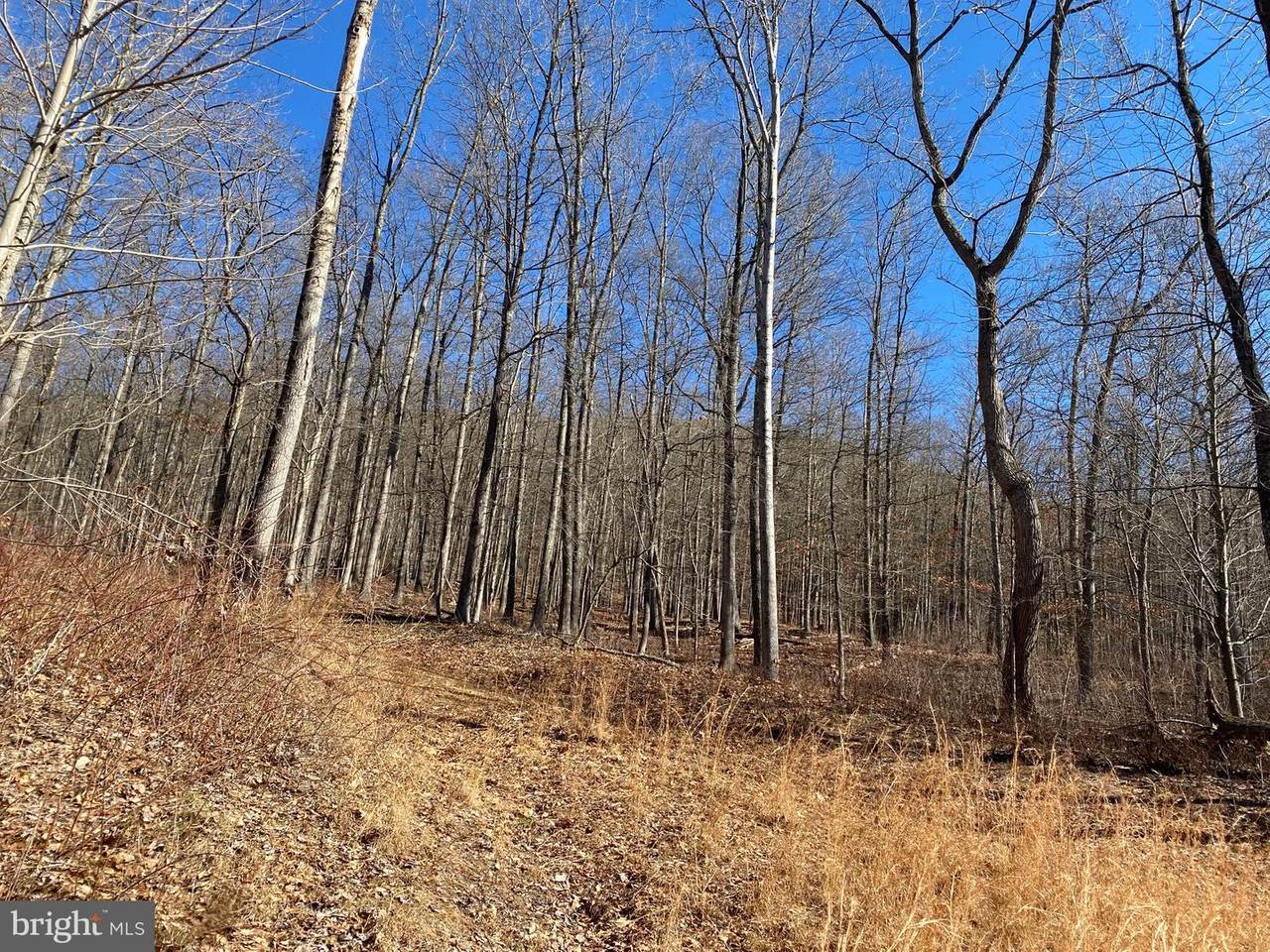 Blakes Valley Drive - Photo 1