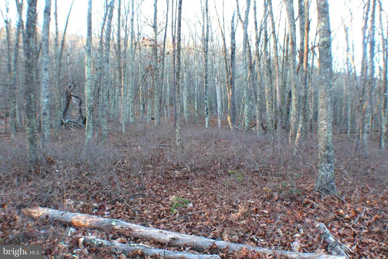 Lot 37 Spring Mountain Property - Photo 1