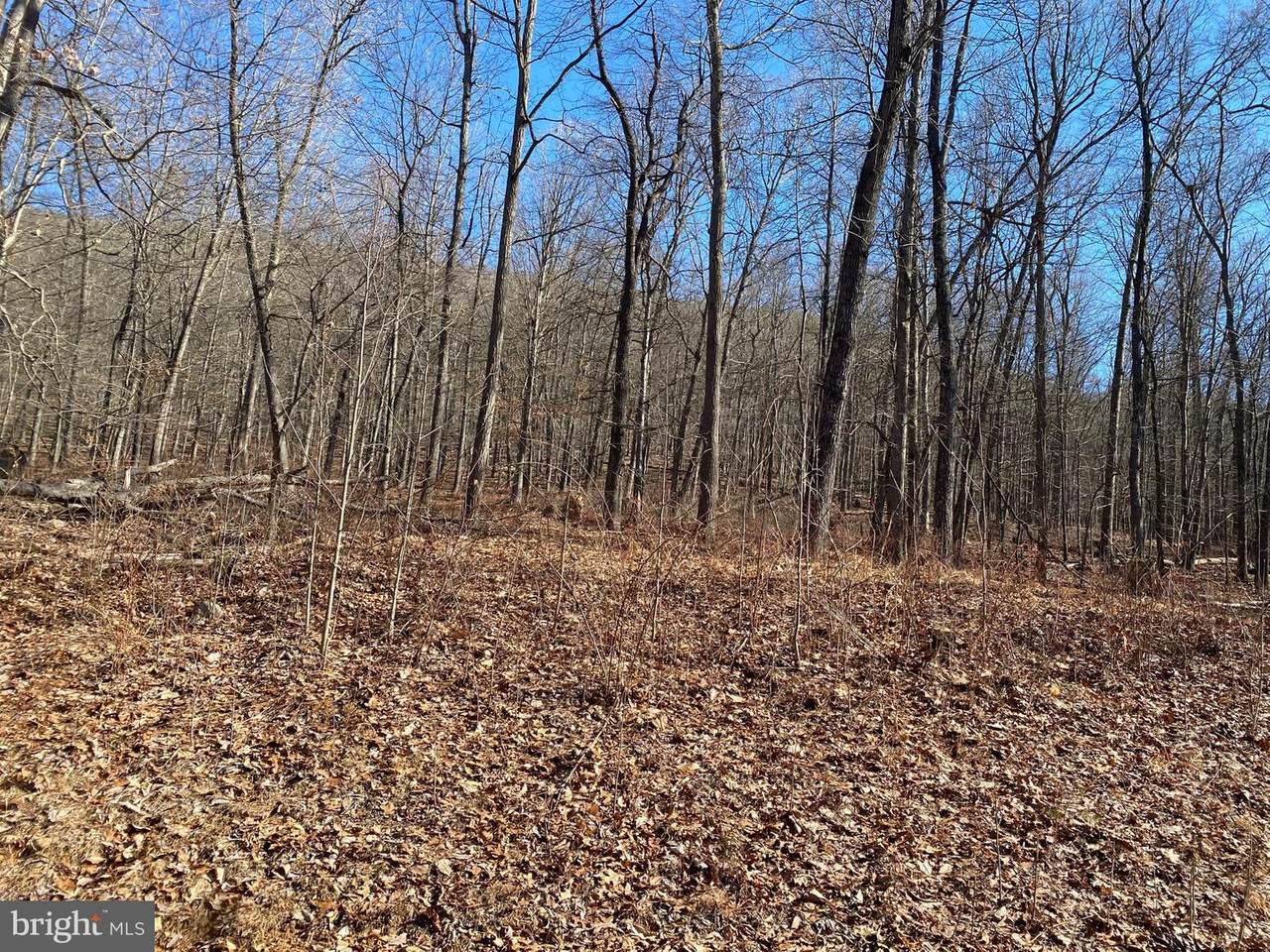 Blakes Valley Drive - Photo 1