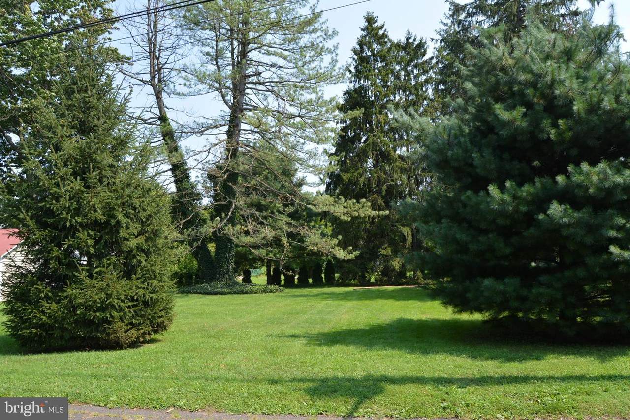211 Olive Street - Photo 1