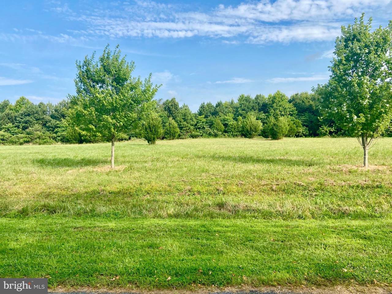 Piney Neck Road - Photo 1