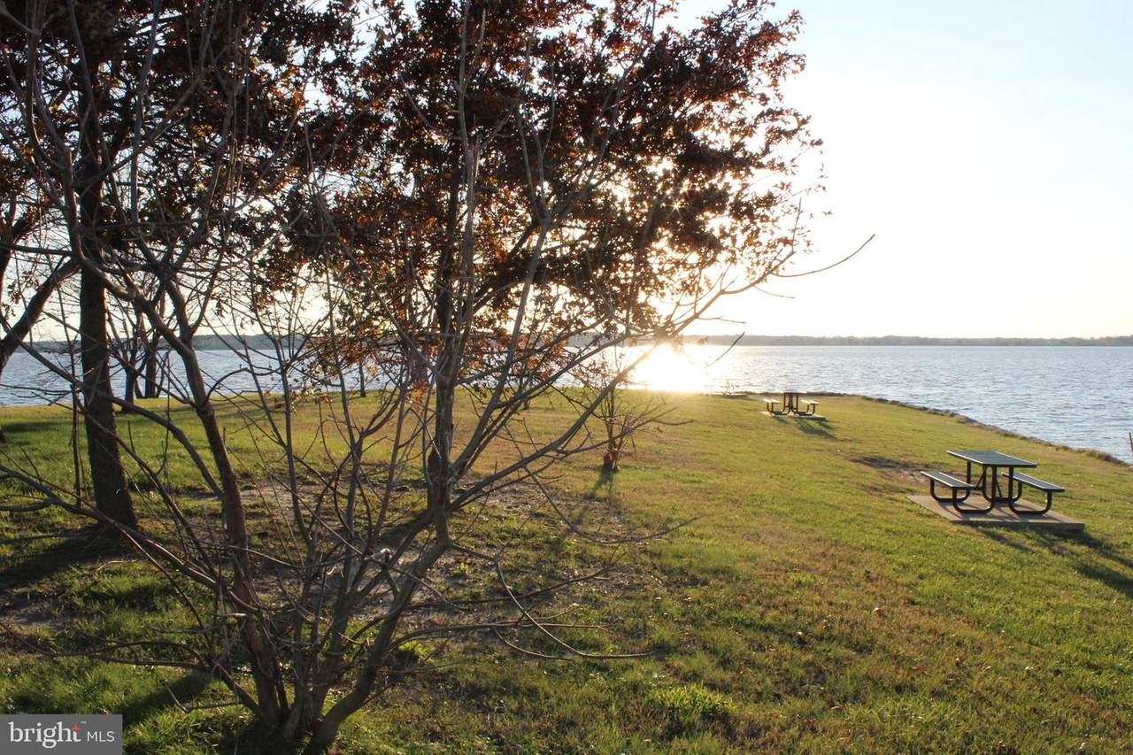 LOT 4 Carver Road - Photo 1