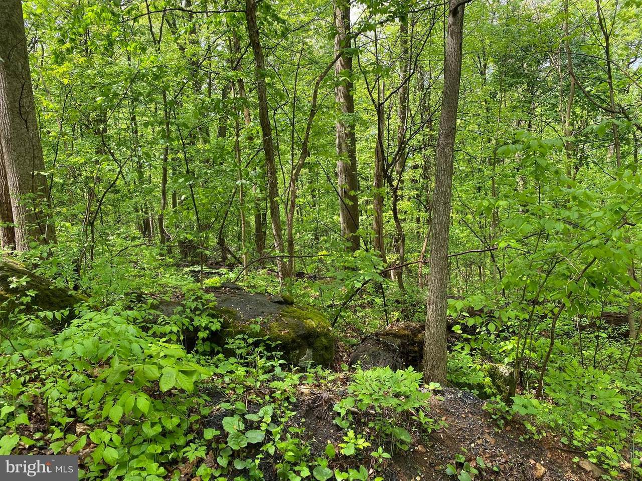 Brandy Road - Photo 1