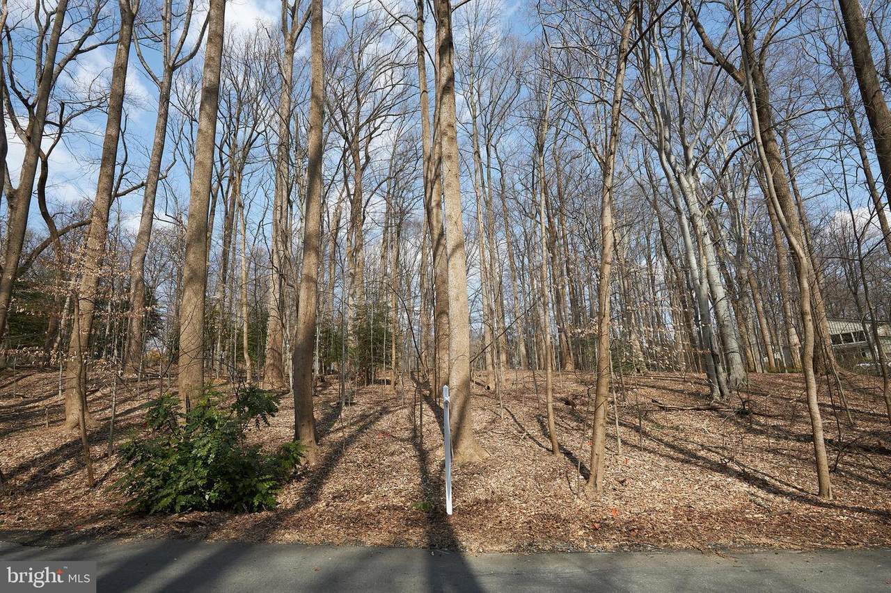 11001 Picasso Lane - Photo 1