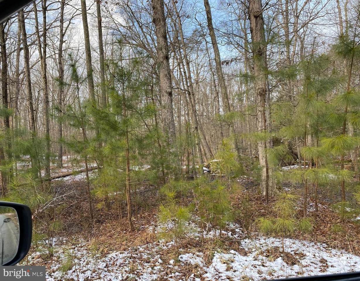 Lot 38 S4 Smallwood Estates - Photo 1