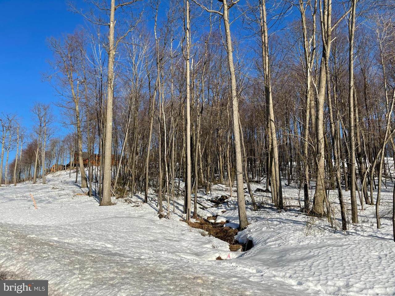 Lot 68 North Camp Rd - Photo 1