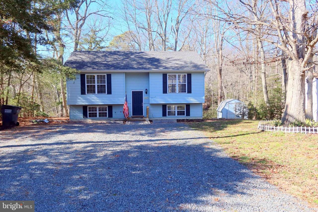 12179 Bonanza Trail - Photo 1