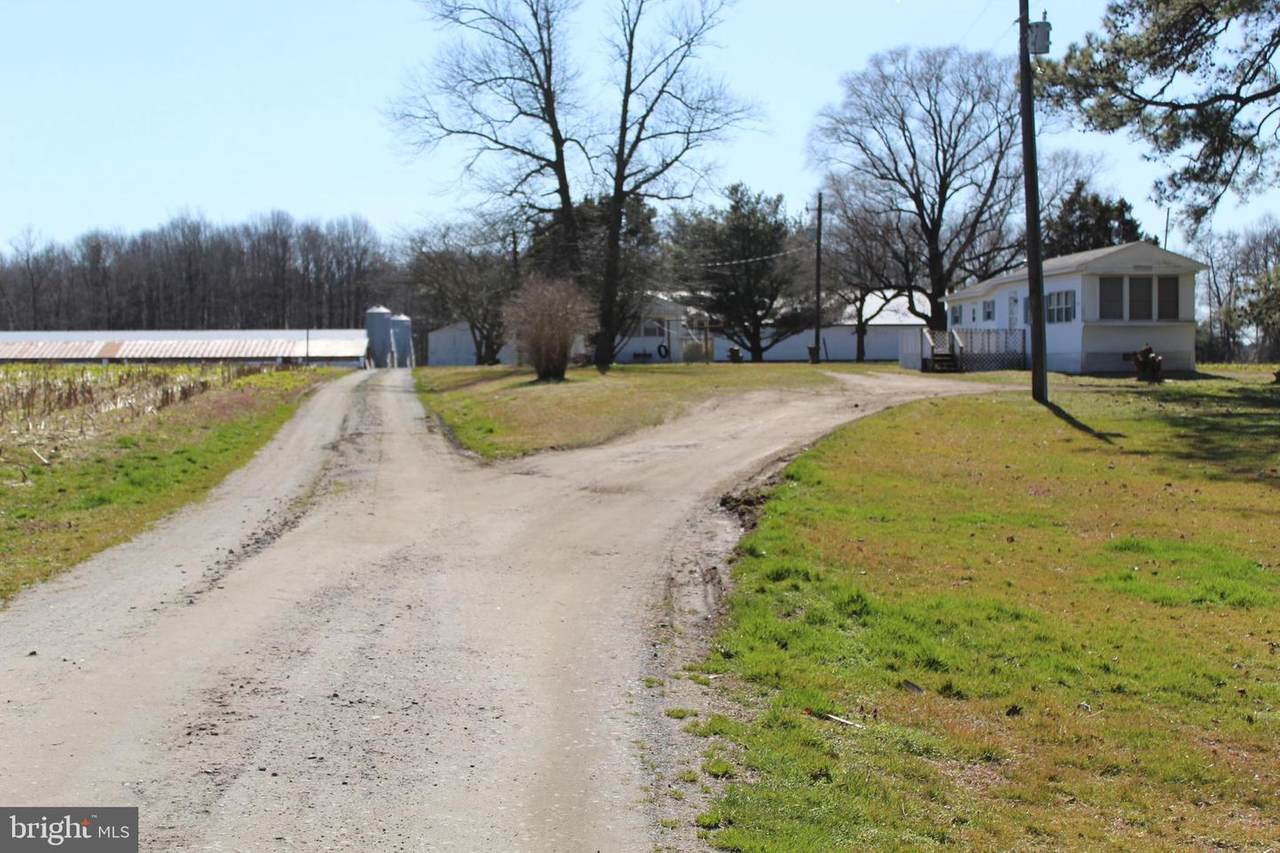 4735 Owl Hollow Lane - Photo 1