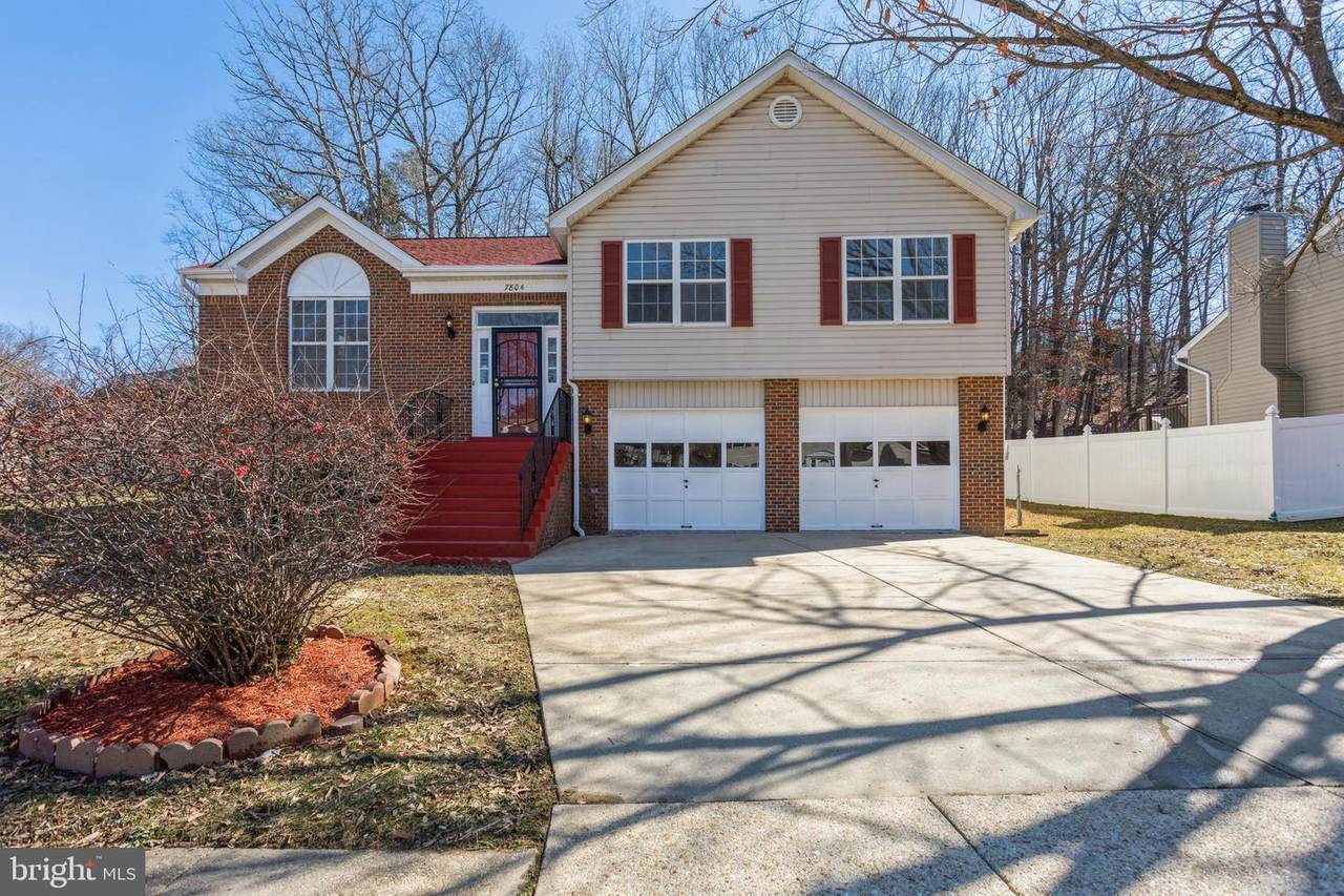 7806 Jaywick Avenue - Photo 1