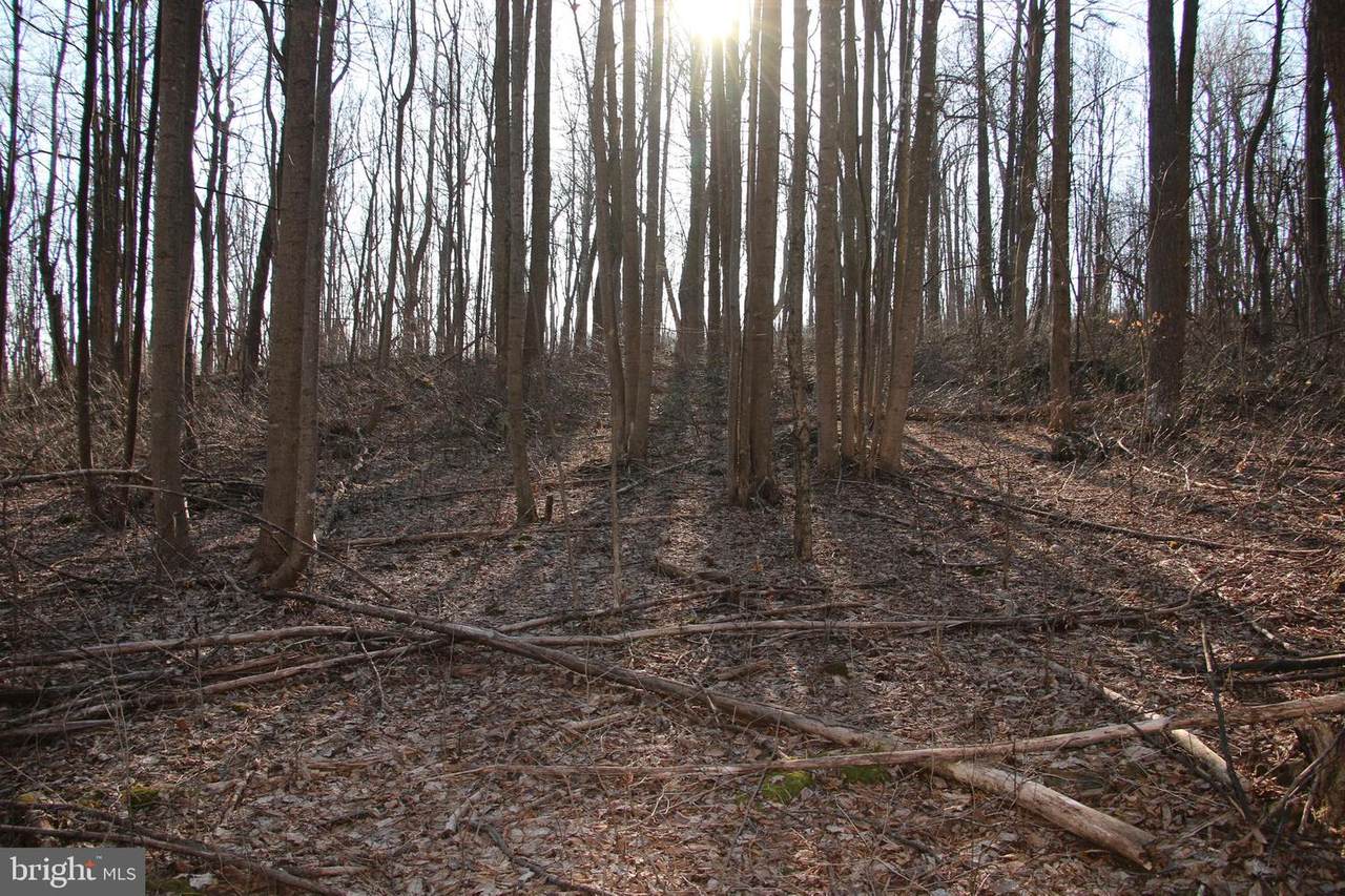 Forest Drive - Photo 1