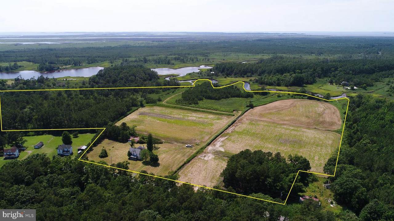 10270 Champ Road - Photo 1