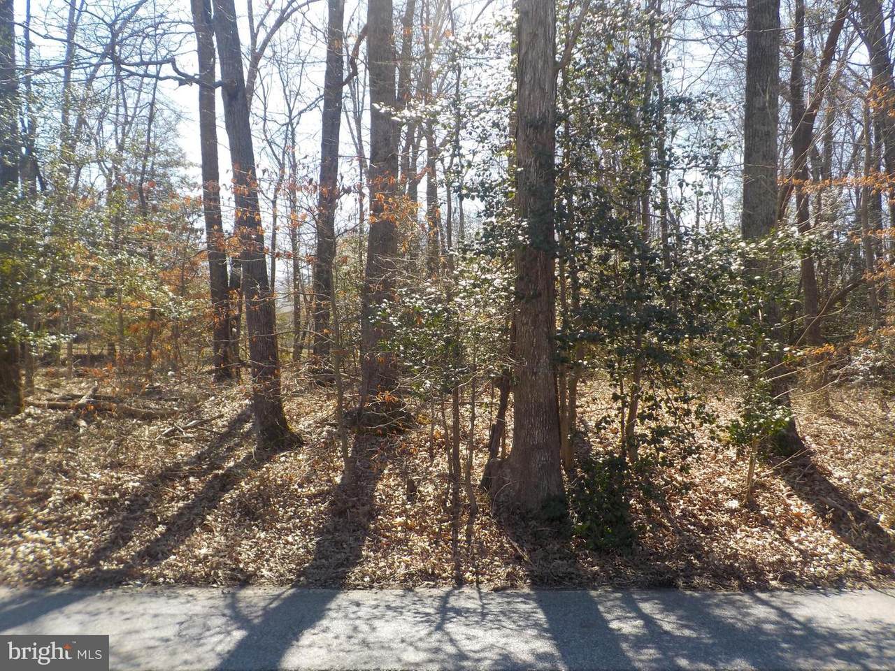 500 Bryan Point Road - Photo 1