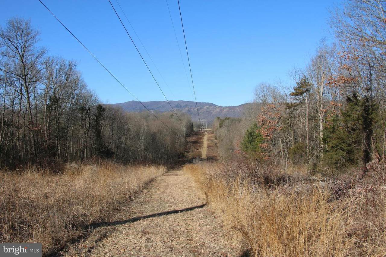 Grove Hill River Road - Photo 1