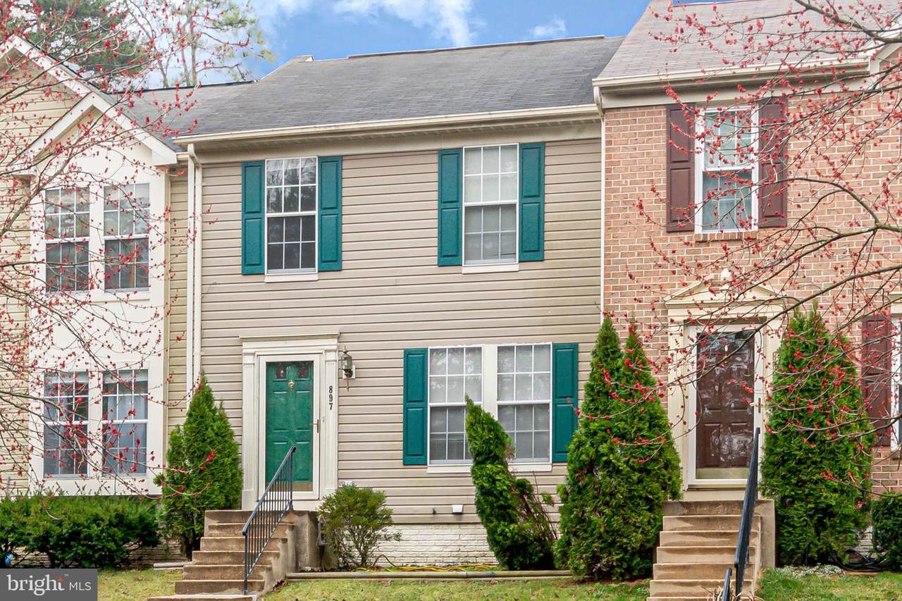 897 Chestnut Cove Drive - Photo 1