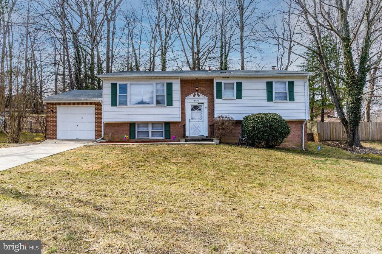 9019 Dixon Drive - Photo 1