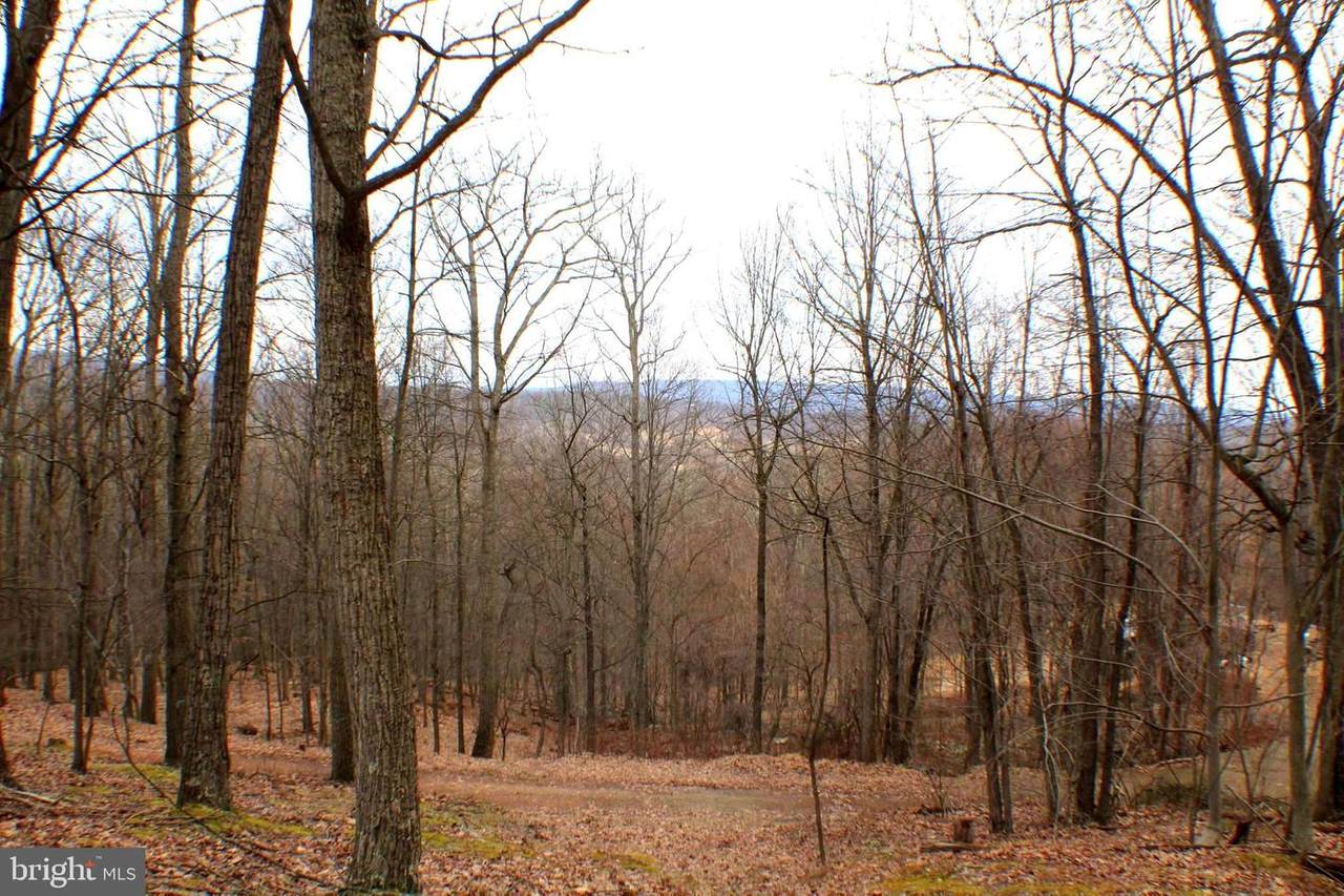 Lot 24 A&B Cove Creek Road - Photo 1